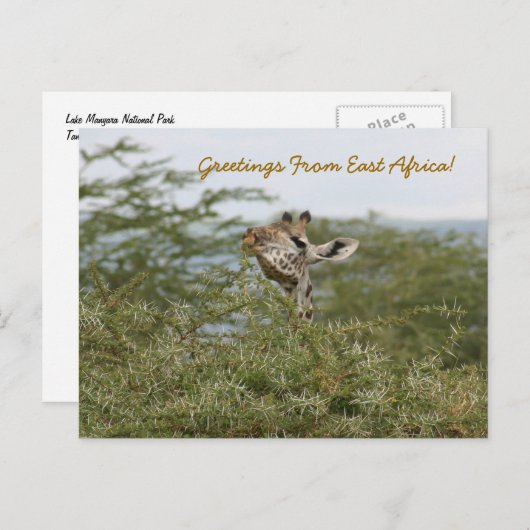 Snap het! - BRIEFKAART (Voorkant / Achterkant)