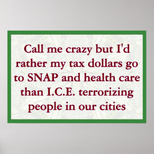 SNAP, niet ICE Poster