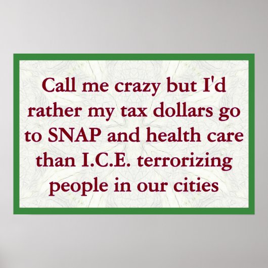 SNAP not ICE Poster (Voorkant)