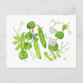 Snap Pea Gnome briefkaart (Voorkant)