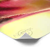 Snapdragon Blossom Close PhotoPoster by gretchen Poster (Hoek)