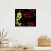 Snapdragon en Pagoda Flowers Colorful Floral Poster (Keuken)