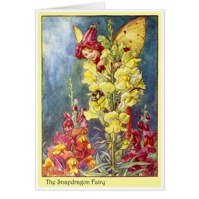 Snapdragon Fairy (Voorkant)