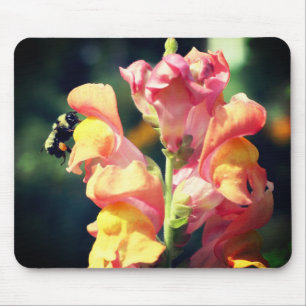 Snapdragon Flower and Bumble bei Muismat