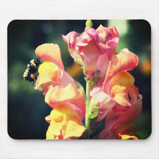 Snapdragon Flower and Bumble bei Muismat (Voorkant)