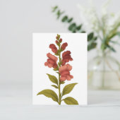 Snapdragon - Graciousness, misleiding Briefkaart (Staand voorkant)