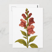 Snapdragon - Graciousness, misleiding Briefkaart (Voorkant / Achterkant)