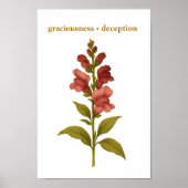 Snapdragon - Graciousness, misleiding Poster (Voorkant)