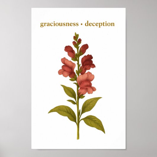 Snapdragon - Graciousness, misleiding Poster (Voorkant)