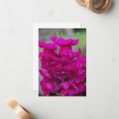 Snapdragon Notitiekaartje (Voorkant / Achterkant in situ)