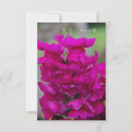 Snapdragon Notitiekaartje