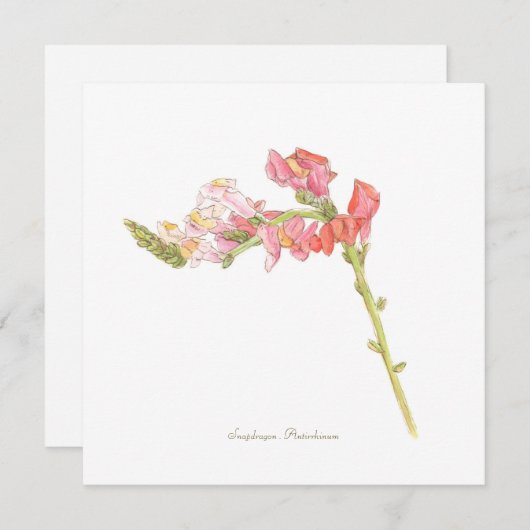 Snapdragon platte kaart (Voorkant / Achterkant)