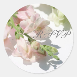 Snapdragon RSVP-Sticker Ronde Sticker