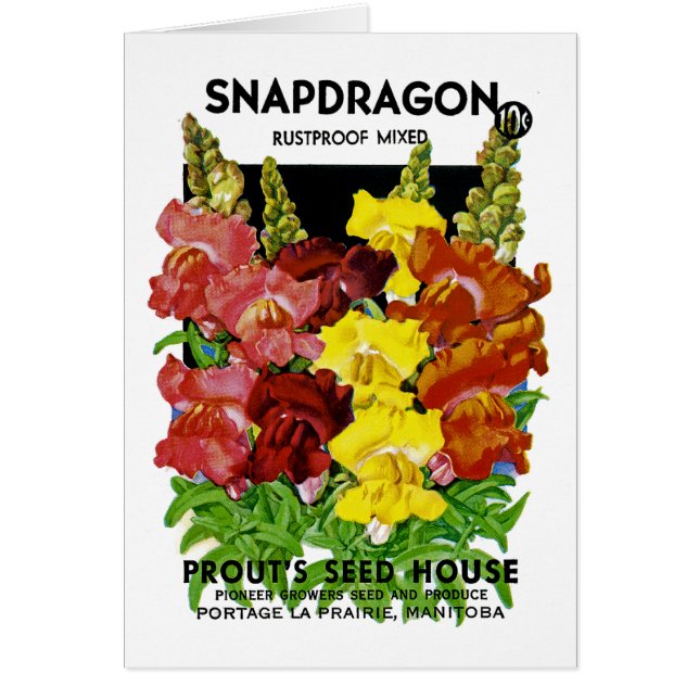 Snapdragon  Seed Packet (Voorkant)