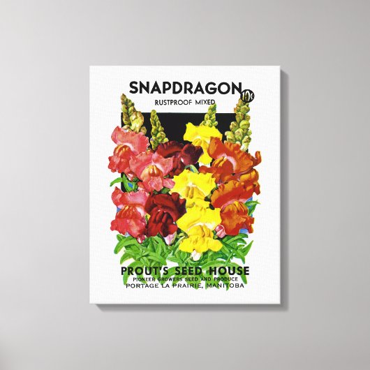 Snapdragon Seed Packet Canvas Afdruk (Voorkant)