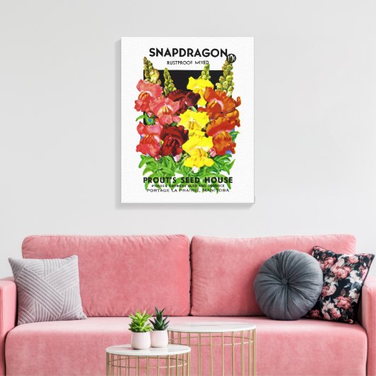 Snapdragon Seed Packet Canvas Afdruk (Insitu (Woonkamer))