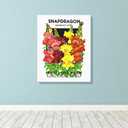 Snapdragon  Seed Packet Canvas Afdruk (Insitu (Houten vloer))