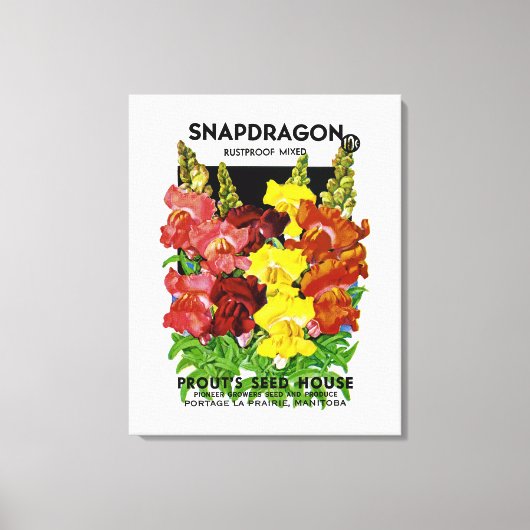 Snapdragon  Seed Packet Canvas Afdruk (Voorkant)