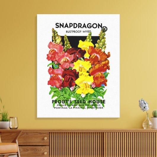 Snapdragon  Seed Packet Canvas Afdruk (Insitu (Woonkamer))