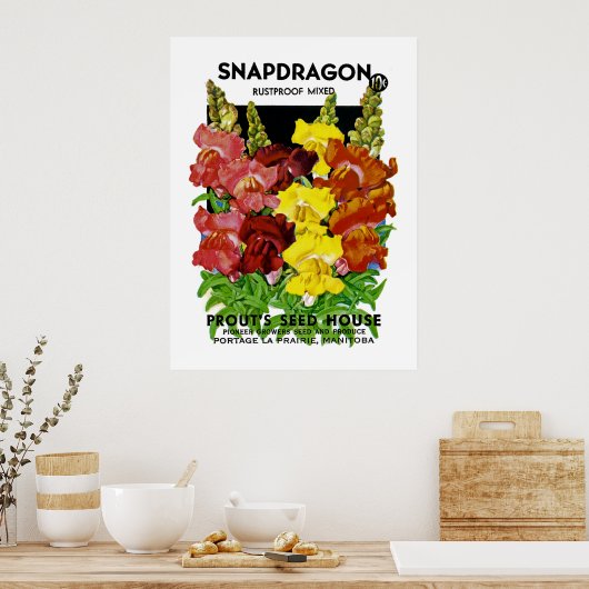 Snapdragon  Seed Packet Poster (Keuken)