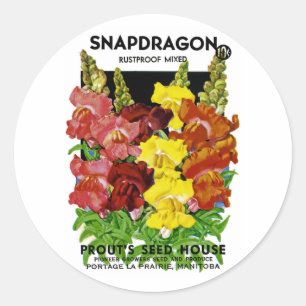 Snapdragon  Seed Packet Ronde Sticker