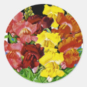 Snapdragon Seed Packet Ronde Sticker (Voorkant)