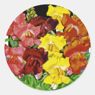 Snapdragon Seed Packet Ronde Sticker