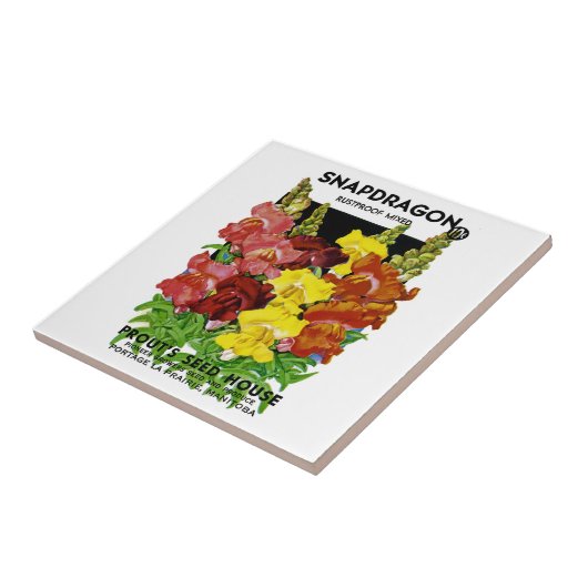Snapdragon  Seed Packet Tegeltje (Zijkant)