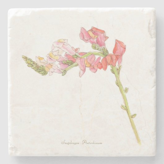 Snapdragon Stenen Onderzetter (Voorkant)