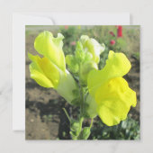 Snapdragon Yellow Flower Kaart (Voorkant)