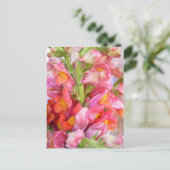 Snapdragons Briefkaart (Staand voorkant)