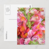 Snapdragons Briefkaart (Voorkant / Achterkant)