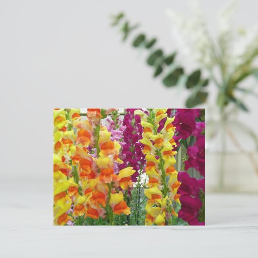 Snapdragons Colorful Floral (Staand voorkant)