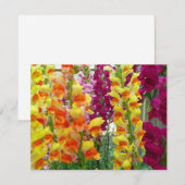 Snapdragons Colorful Floral (Voorkant / Achterkant)