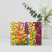 Snapdragons Colorful Floral Briefkaart (Staand voorkant)