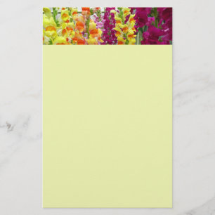 Snapdragons Colorful Floral Briefpapier