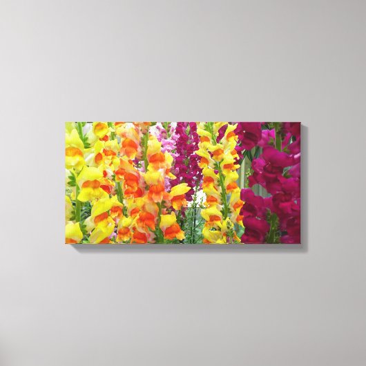Snapdragons Colorful Floral Canvas Afdruk (Voorkant)