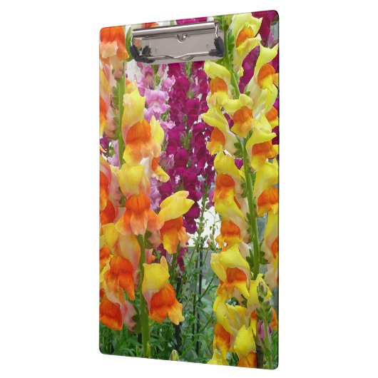 Snapdragons Colorful Floral Klembord (Links)
