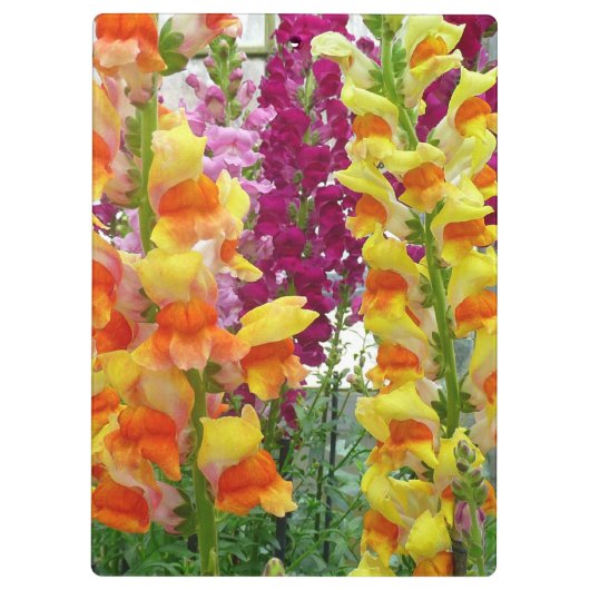 Snapdragons Colorful Floral Klembord (Achterkant)