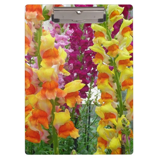 Snapdragons Colorful Floral Klembord (Voorkant)