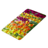Snapdragons Colorful Floral Magneet (Linkerzijde)