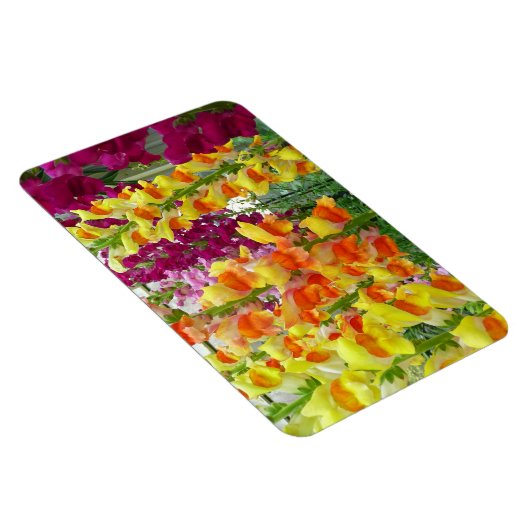 Snapdragons Colorful Floral Magneet (Rechterzijde)