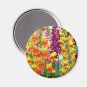 Snapdragons Colorful Floral Magneet (Voorkant / Achterkant)