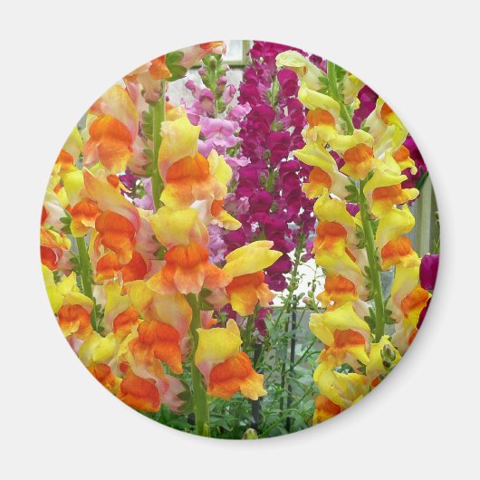 Snapdragons Colorful Floral Magneet (Voorkant)