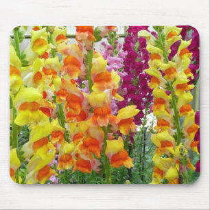 Snapdragons Colorful Floral Muismat