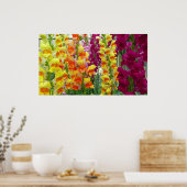 Snapdragons Colorful Floral Poster (Keuken)