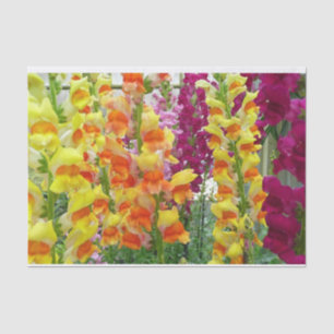 Snapdragons Colorful Floral Tissuepapier
