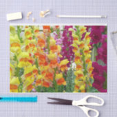 Snapdragons Colorful Floral Tissuepapier (Craft)