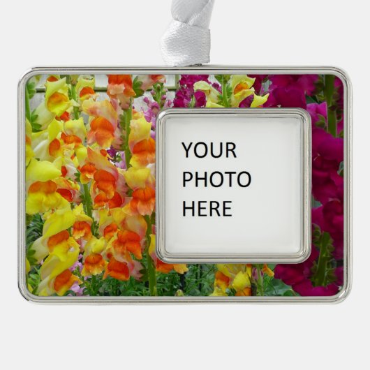 Snapdragons Colorful Floral Verzilverd Omlijst Ornament (Voorkant)