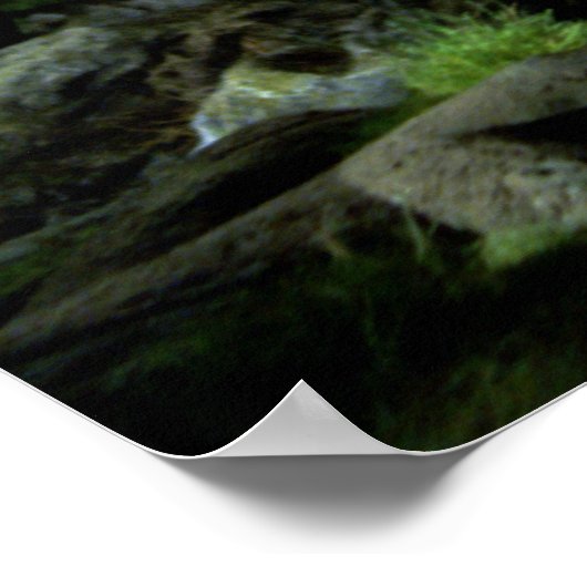 Snape Hermoine Ron Harry Poster (Hoek)